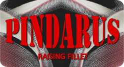 Pindarus.